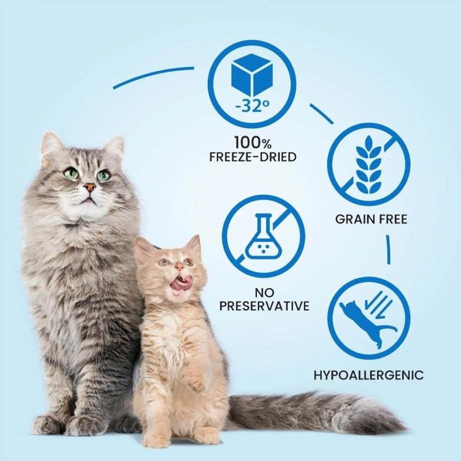 POODEE RANOVA Freeze Dried Cat Dental Star 6g