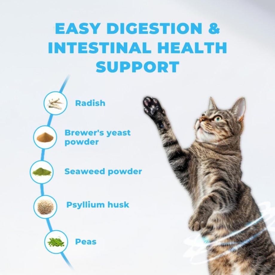 MR.Vet Dry Food Tuna Urinary Care Of All age Cats 1kg