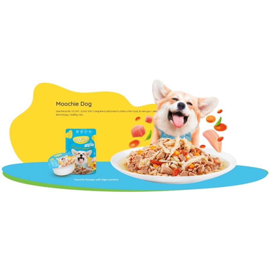 MOOCHIE Dog Pouch Wet Food For Dogs 70g