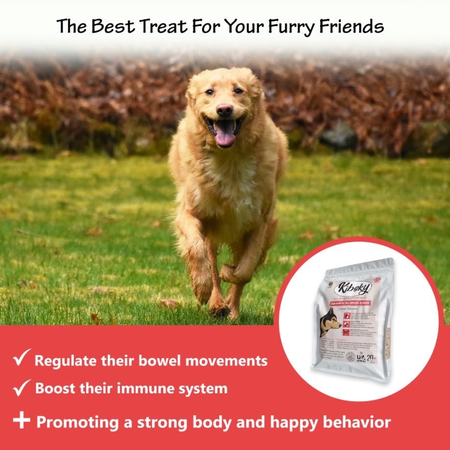 Kibsky Premium Dry Dog Food Kibble 1kg
