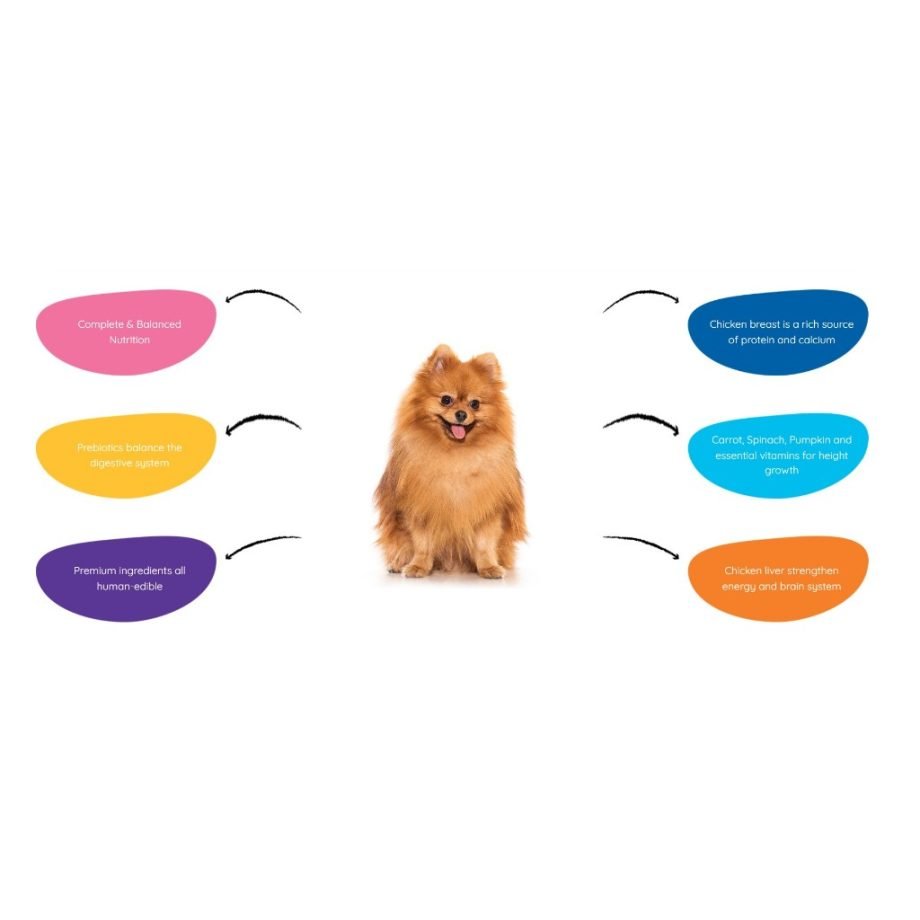 MOOCHIE Dog Pouch Wet Food For Dogs 70g
